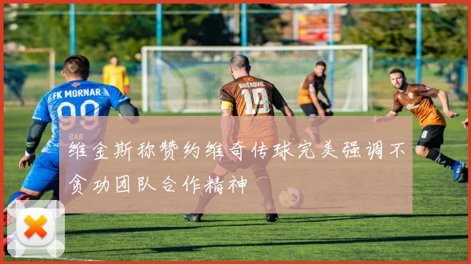 维金斯称赞约维奇传球完美强调不贪功团队合作精神