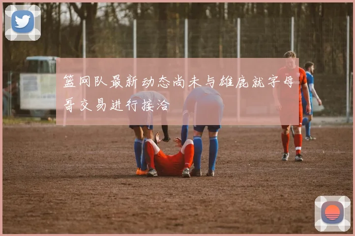篮网队最新动态尚未与雄鹿就字母哥交易进行接洽